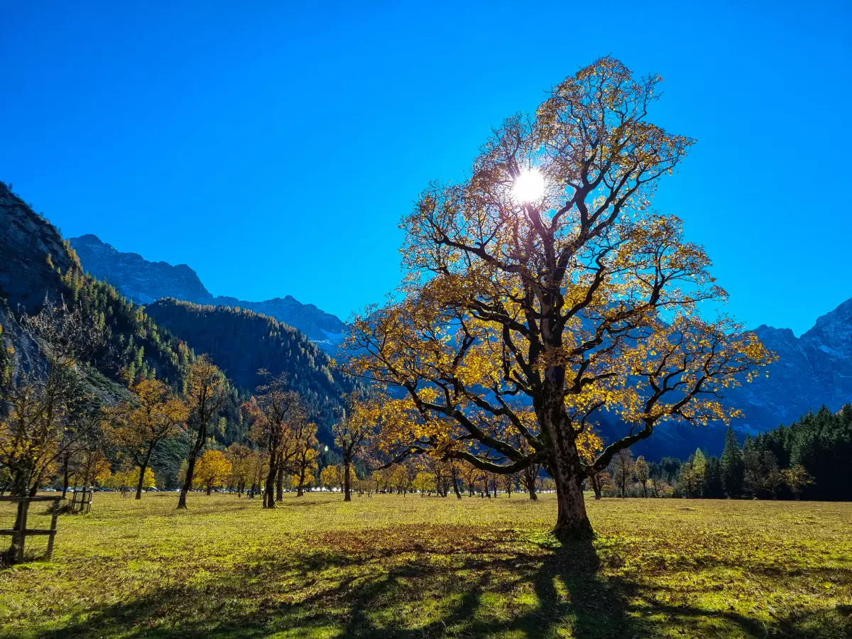 Colourful autumn in the Karwendel Nature Park