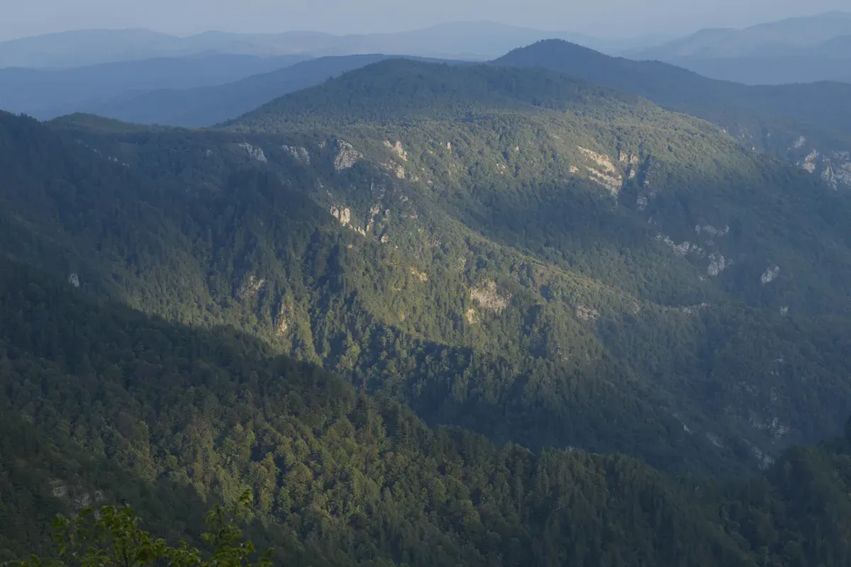 Vom Ausichtspunkt Loška stena weitet sich der Blick über schier endlose Waldwildnis. Die Hangwälder im Kolpatal stehen als Schutzwald ebenfalls unter Schutz.